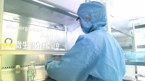生物發酵技術引領行業新浪潮 一線研發如何破局與領航