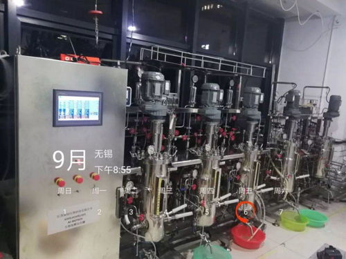 現代微生物發酵技術在生物化工產品研發中的創新應用與前景